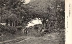 CPA Musee de Quimper Bernier le soir Vaches