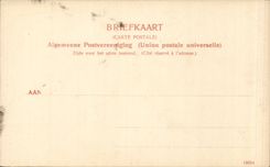 CPA the Netherlands Hyacinthenvelden