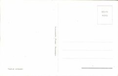 Nederland - Holland - the Netherlands - Folklore - Costumes - Meid - CPA