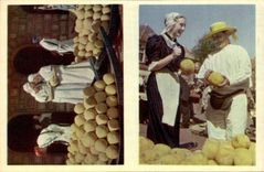 Nederland - Holland - Pays Bas - Alkmaar - De Kogel - CPA 