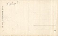 Allemagne - Germany - Deutschland - Wiesbaden - Le Palais - Schloss - - CPA 