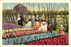 CPA the Netherlands Tulips Flowers in the fields Folklore