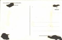 CPA the Netherlands Tulips Flowers in the fields Folklore