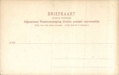 CPA the Netherlands Hyacinthen velden Smooth