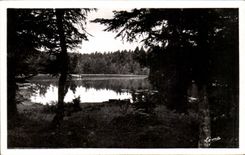 CPSM Sembadel Parks Landscape in the drill of black wood to the hydrant