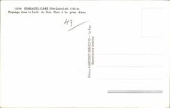 CPSM Sembadel Parks Landscape in the drill of black wood to the hydrant