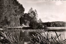 CPSM Gisors Etang de la Balastiere