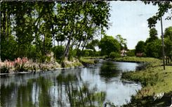CPA Audemer Bridge Risle