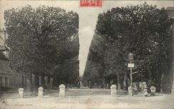 CPA Vernon Avenue of the market to the horses