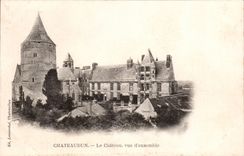 Cuadro total de CPA Chateaudun Le castle