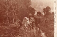 CPA Living room of Paris Voisard Margerie Le ford Cows