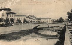 CPA the island in Dodon Le bridge on Saye