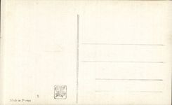 CPA Salon de Paris 1912 Bettanier l'oiseau de France Alsace lorraine