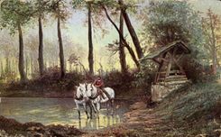 CPA Fantasy Coach in a marsh Chevak Horses horses