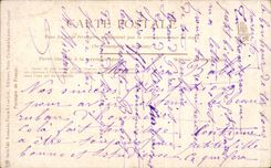 CPA Fantasy Coach in a marsh Chevak Horses horses