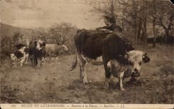 CPA Fantasy Paris Museum of Luxembourg Returned to the firm Barillot Cow