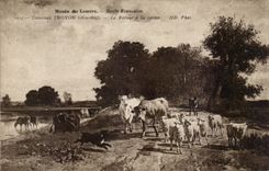 CPA Fantasy Museum of the Louvre Constant Troyon 1810 the 1865 return of firm the Cows sheep Ass donkey Mule