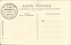 CPA Fantaisie Le peti herd Sheep Cow