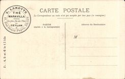 CPA Fantaisie Le small herd Cows