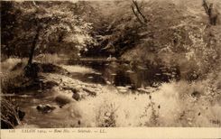 CPA Fantaisie Salon 1904 Rene His Solitude