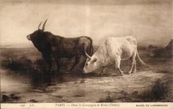 CPA Fantaisie Paris Dans la campagne de Rome Vaches Luxembourg