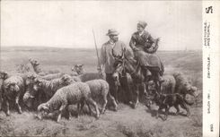 CPA Fantaisie Salon 1911 Deyrolle Pastorale Moutons Ane donkey Mule