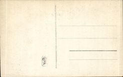 CPA Fantaisie Salon 1911 Deyrolle Pastorale Moutons Ane donkey Mule