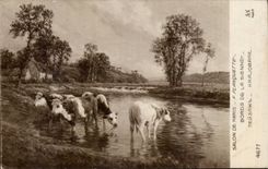 CPA Fantaisie Salon de Paris Planquette Vaches