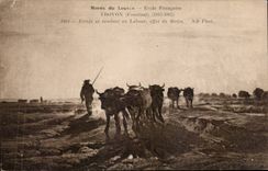 CPA Fantaisie Troyon Boeufs se rendant au labour effet du matin Musee du Louvre Paris