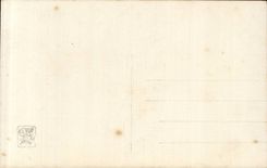 CPA Fantaisie Salon 1913 Ernst Apres l'incendie Constantinople Turquie turkey