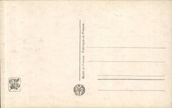 CPA Fantaisie Salon Renard Prise de voile 