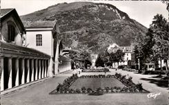 Luchon them Flowered Floors - CPA