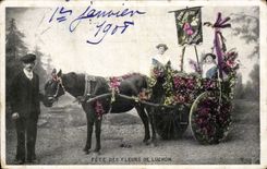 Luchon - Festival of the Flowers - CPA