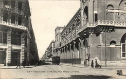 Toulouse - Le Musee - Rue d'Alsace Lorraine - CPA 