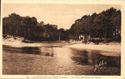 Capbreton on Sea them Maritime pines of Bouret - CPA