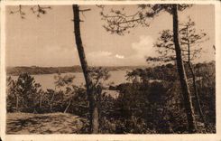 Hossegor - Pines - close Capbreton on Sea - CPA