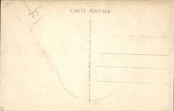 Sully on the Loire it Feudal Castle - CPA