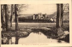 Saint Cere - Chateau de Montal - CPA 