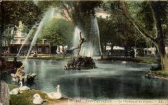 Saint Etienne it Daphnee and the Swan swans - CPA