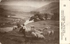 Arts - Painting - Living room of Paris - On the Hills - sheep - sheep Falconer - CPA