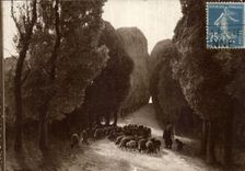 CPA Fantaisie Salon Rame Sous l'avenue 