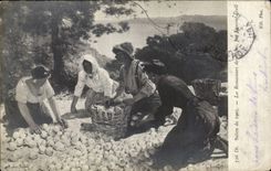 CPA Fantaisie Salon de 1905 Les ramasseurs de citrons par Laurent Gsell