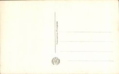 CPA Fantaisie Musee du Louvre Paris Vecelli dit le Titien