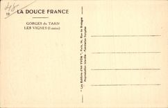 CPA Falls of the Tarn vines