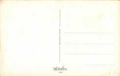 CPA Fantaisie Humour Quel drole de cocktail il y a un gout de lait 