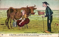 Humour - Illustration - Conversation champetre - vache - cow - CPA 