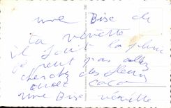 Humour - Illustrarion - dressed up dog - chien - CPA 