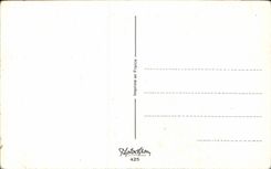 CPA Fantaisie Humour Ne crains rien cherie personne ne te voit !