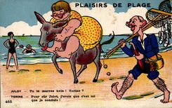 CPA Fantaisie Illustrateur Humour Plaisirs de la plage Julot Torine Ane Donkey Mule