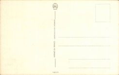 CPA Fantaisie Illustrateur Il en fait une tete le pauvre ! Ane Donkey